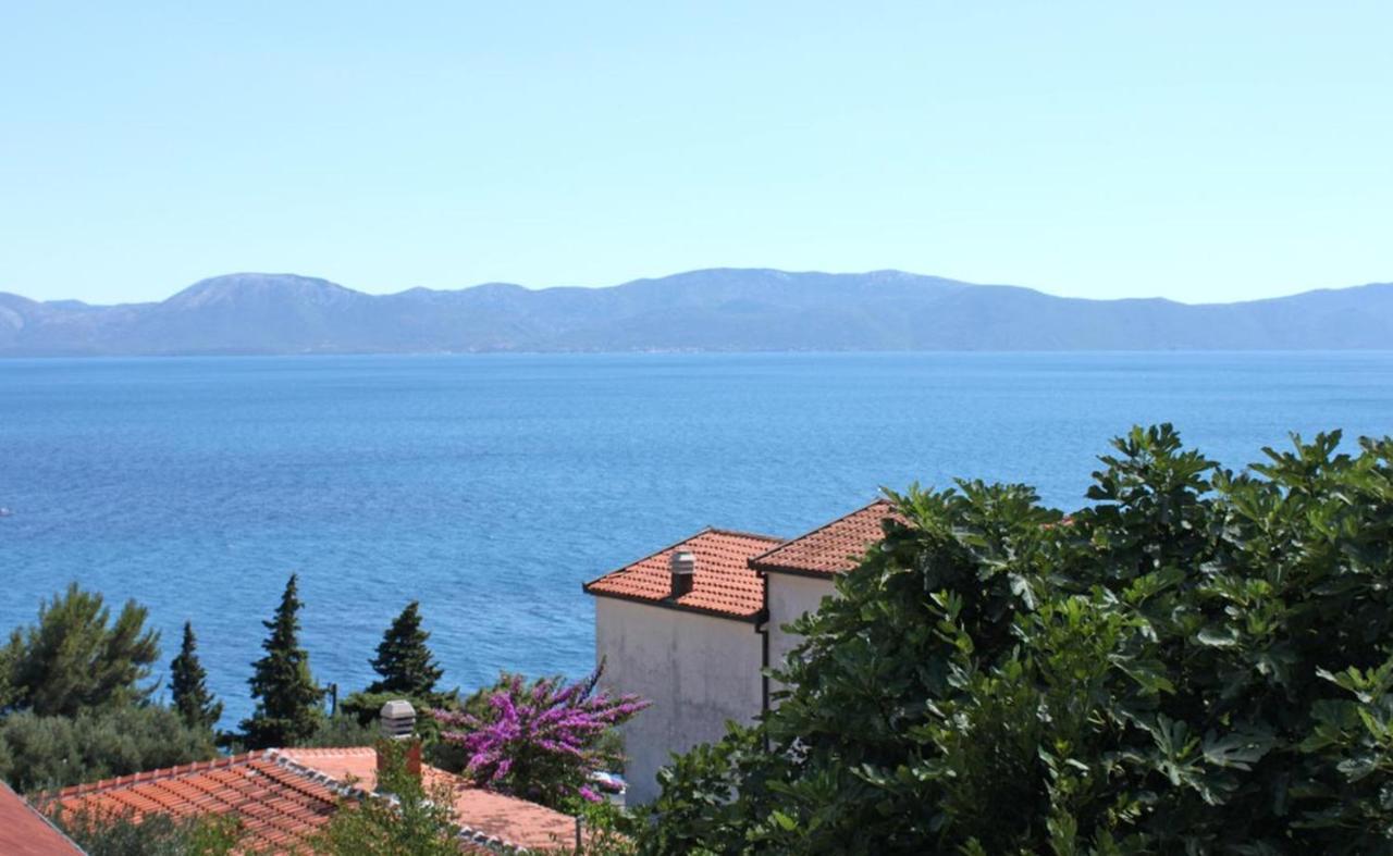 Vila Stefan Hotel Podaca Buitenkant foto